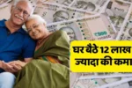 You will earn more than 12 lakhs sitting at home