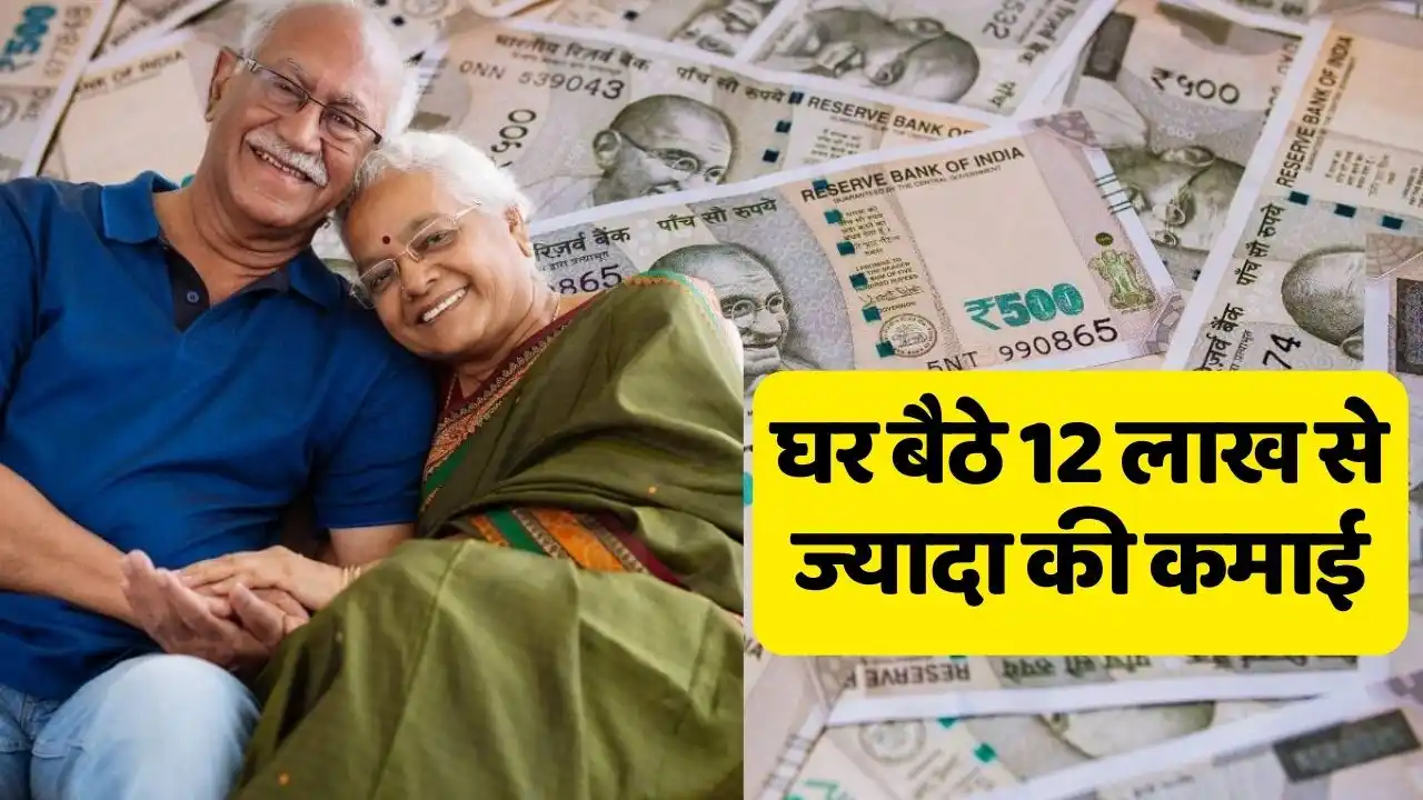 You will earn more than 12 lakhs sitting at home