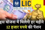 LIC Pension Scheme details