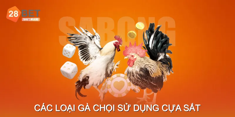 Các Loại Gà Chọi Sử Dụng Cựa Sắt Các Loại Gà Chọi Sử Dụng Cựa Sắt