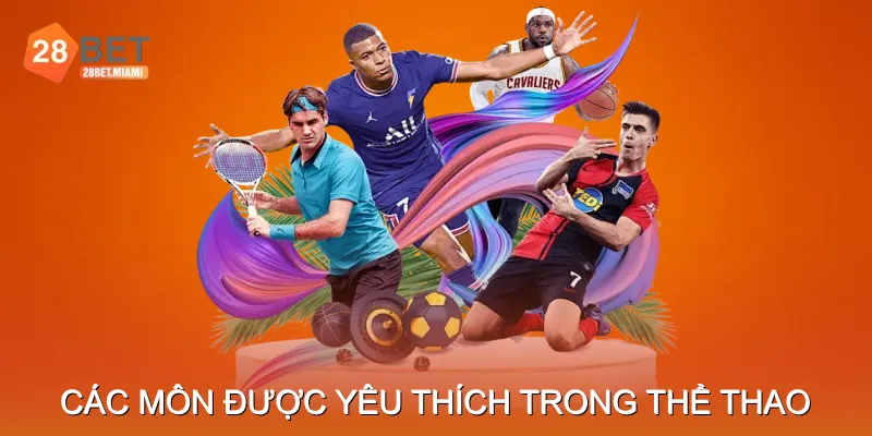 Các Môn Được Yêu Thích Trong Cá Cược Thể Thao Các Môn Được Yêu Thích Trong Cá Cược Thể Thao