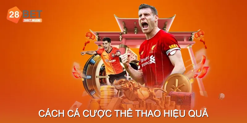 Cách Cá Cược Thể Thao Hiệu Quả Cách Cá Cược Thể Thao Hiệu Quả