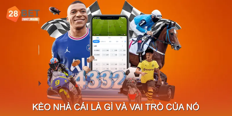 Kèo nhà cái là gì và vai trò quan trọng của nó Kèo nhà cái là gì và vai trò quan trọng của nó