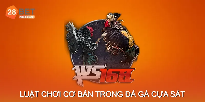 Luật Chơi Cơ Bản Trong Đá Gà Cựa Sắt Luật Chơi Cơ Bản Trong Đá Gà Cựa Sắt